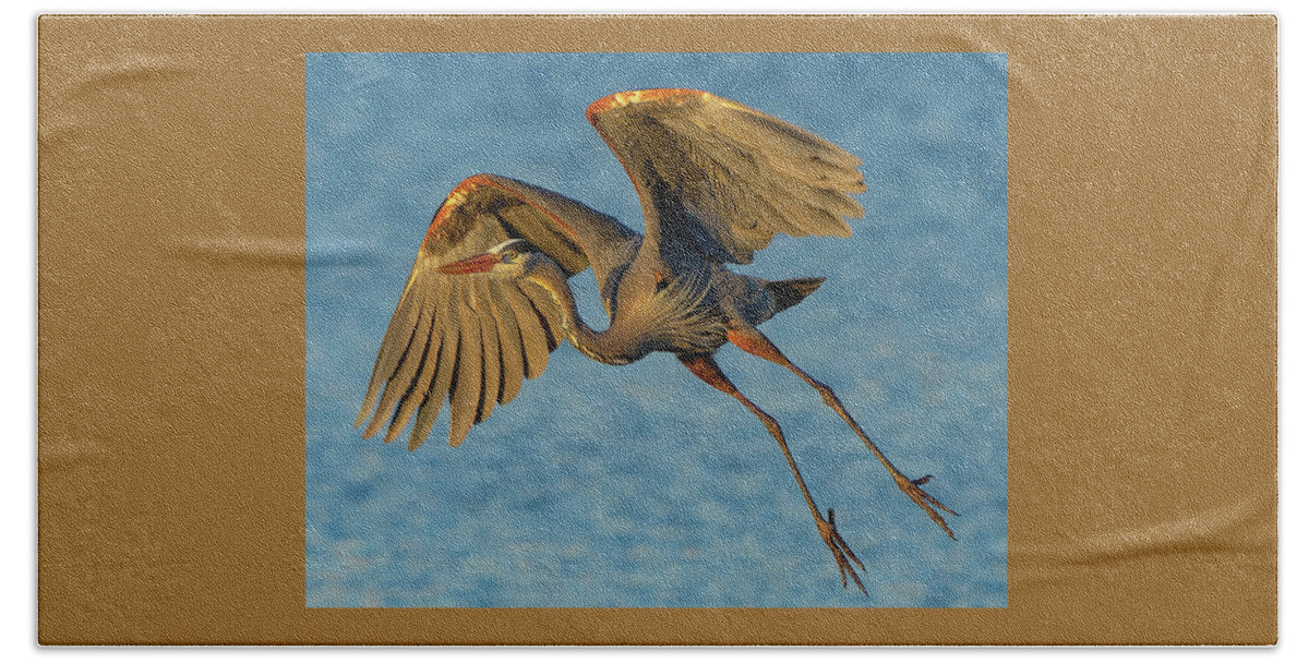 Heron Beach Sheet featuring the photograph Heron Nears Sunset by William Jobes