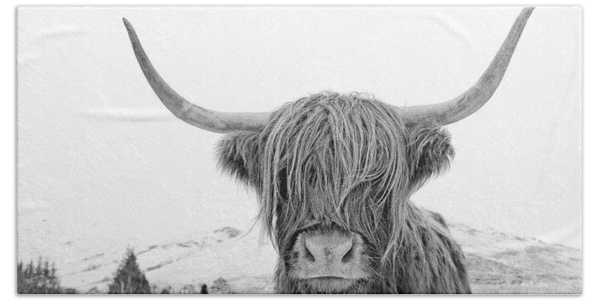 Highland Cow Beach Towel featuring the photograph Highland Cow mono by Grant Glendinning