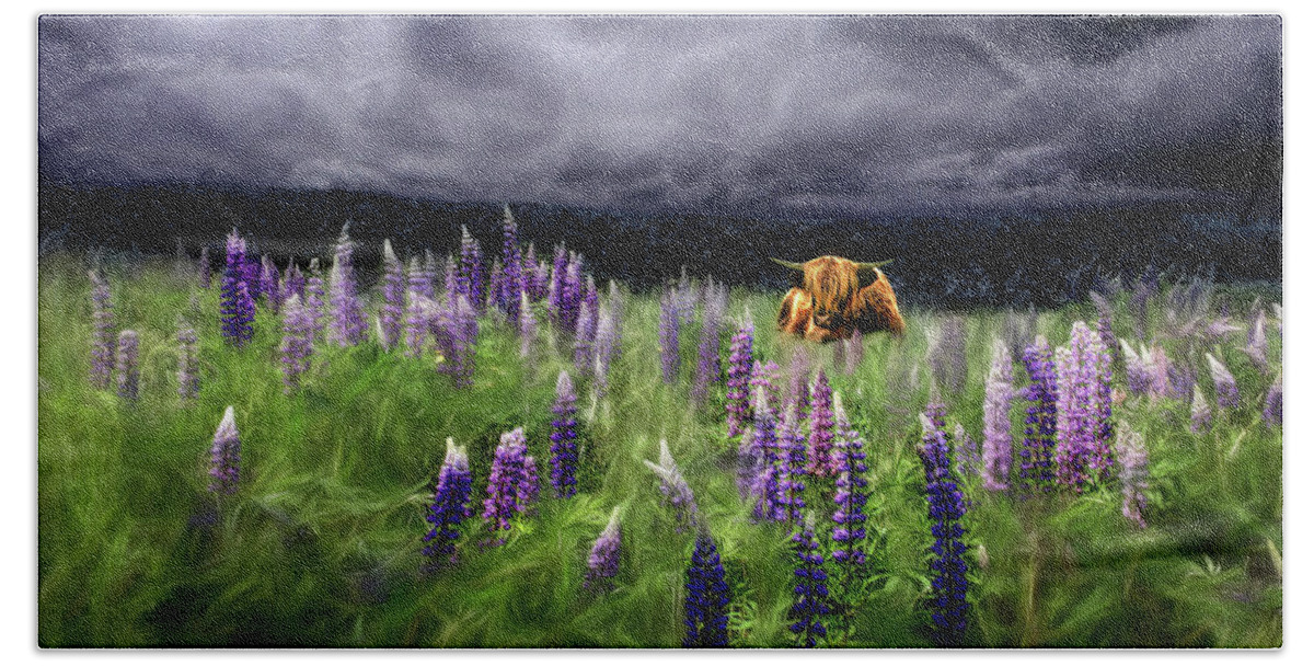 Highlander Beach Towel featuring the photograph HighlandStorm #4 Glow in the Lupine by Wayne King