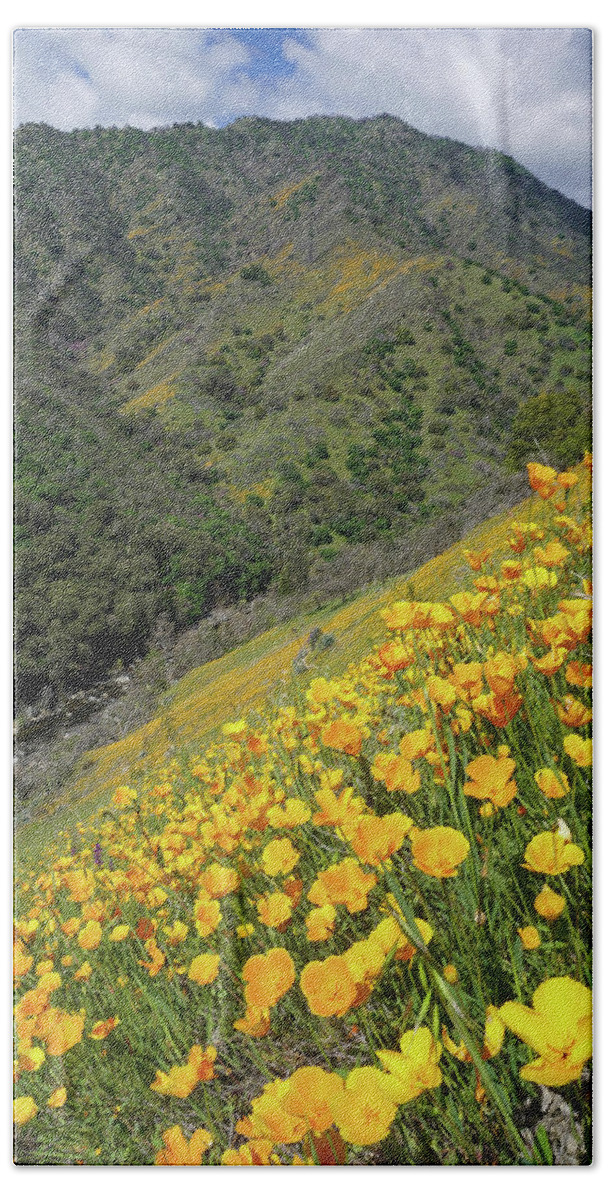 Poppies Beach Towel featuring the photograph Poppies Above Kaweah River by Brett Harvey