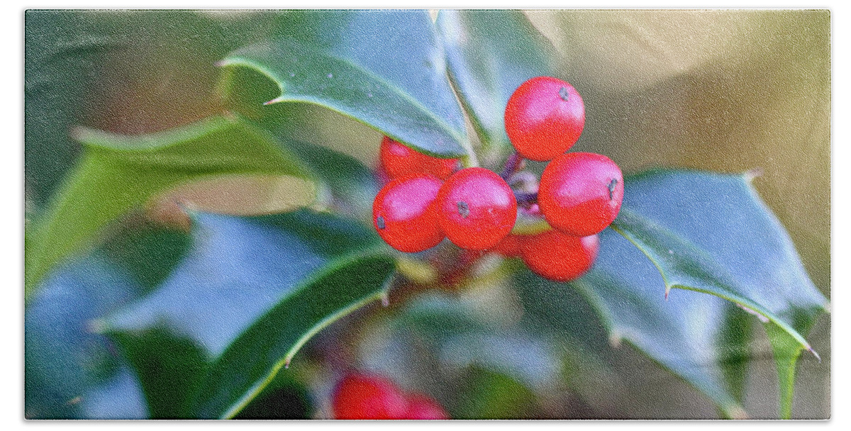 Holly Berries Beach Towel featuring the photograph Holly Berries by Tracy Male