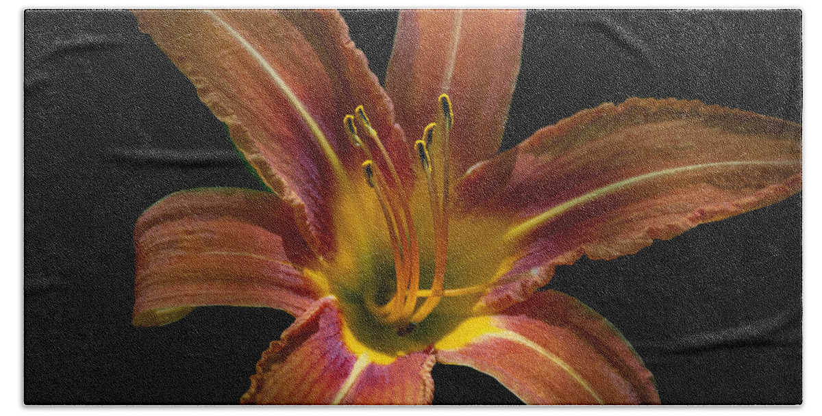 Daylily Beach Sheet featuring the photograph Home is Where We Grow by Linda Bonaccorsi