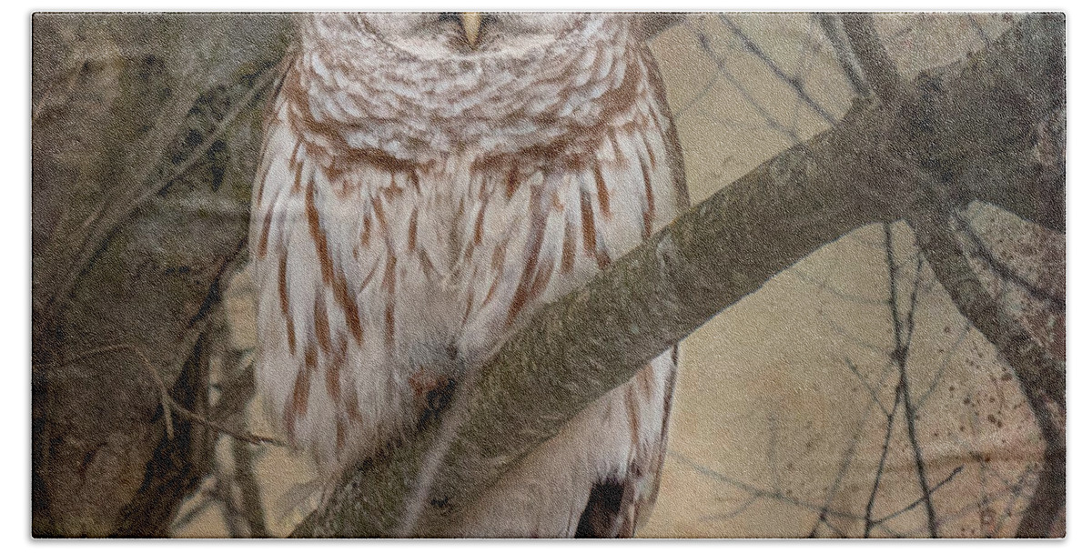 Barred Owl Beach Towel featuring the photograph Hoping for Olivia by Andrea Platt