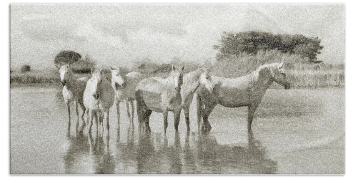 Horse Beach Towel featuring the photograph Wild Horses Resting by Karen Lynch