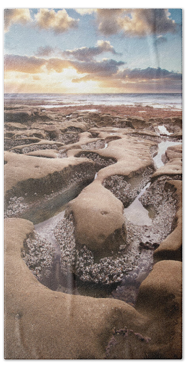 Beautiful Beach Towel featuring the photograph Hospitals Reef La Jolla by Gary Geddes