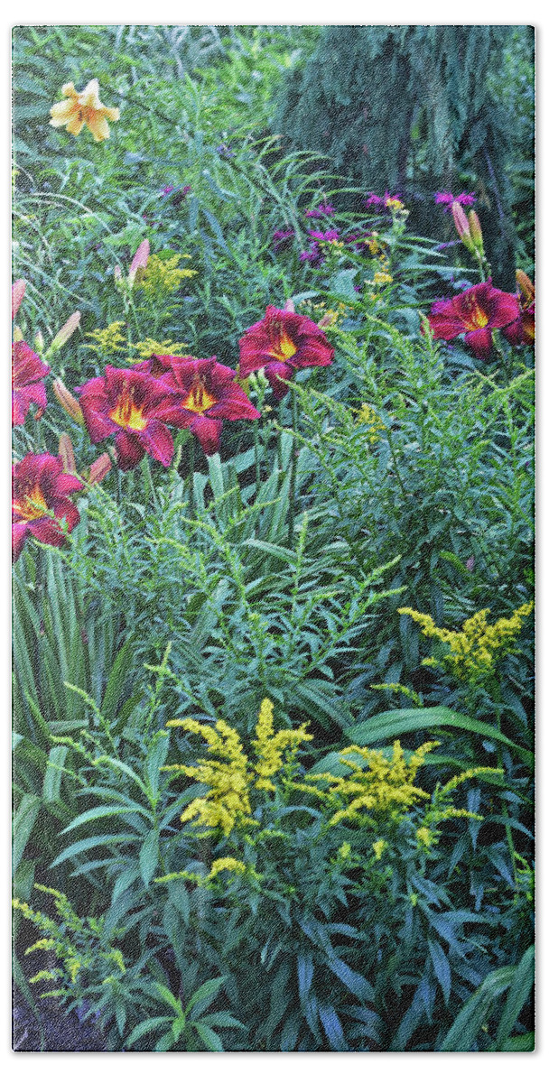 Summer Beach Towel featuring the photograph Hot July Daylilies by Janis Senungetuk