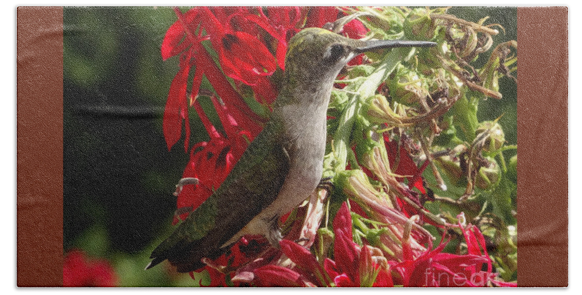 Copyright 2022 By Christopher Plummer Beach Towel featuring the photograph Hummers Day 2-09 by Christopher Plummer