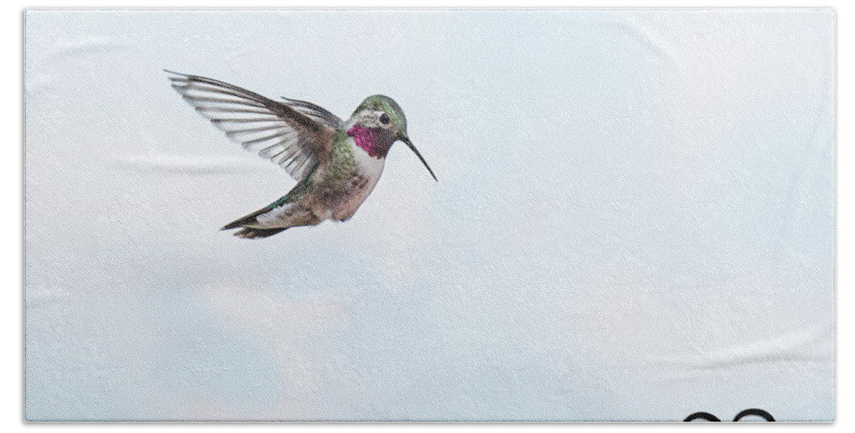 Hummer Beach Towel featuring the photograph Humming Hummingbird by Jennifer Grossnickle