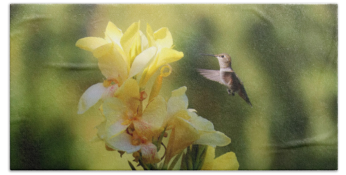 Hummingbird Beach Towel featuring the photograph Hummingbird with Yellow Canna Lily 6 Square by Carol Groenen