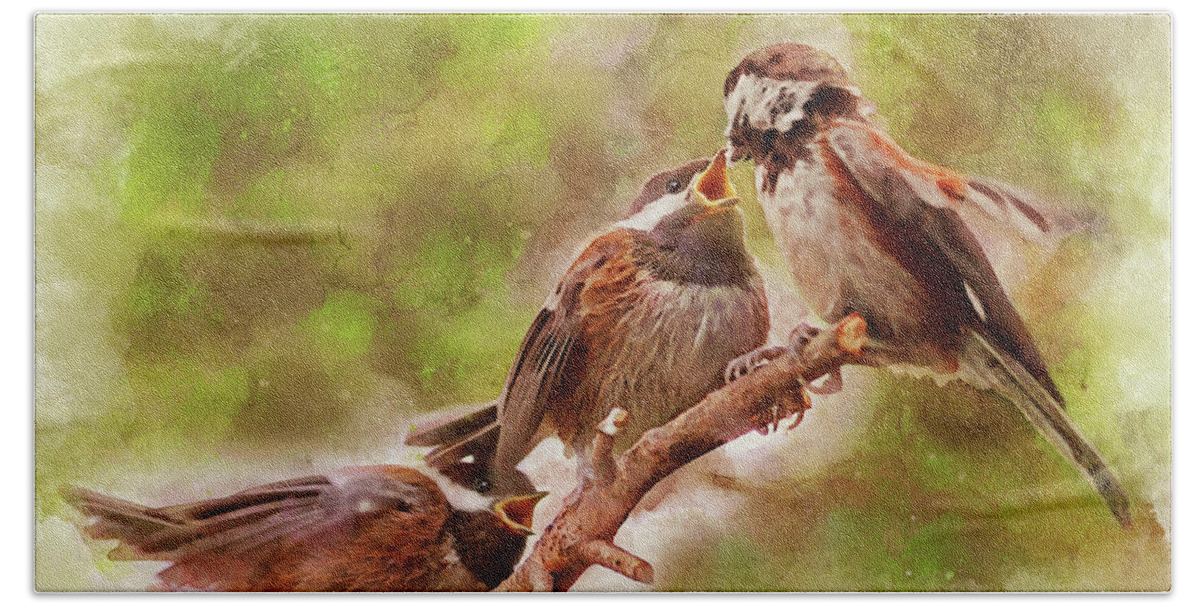 Chickadees Beach Towel featuring the mixed media Hungry Baby Chickadees Watercolor by Peggy Collins