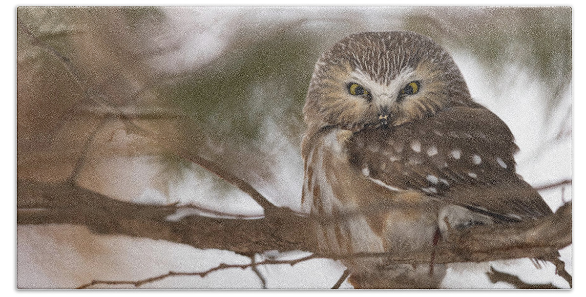 Owl Beach Towel featuring the photograph I Have A Secret by Everet Regal