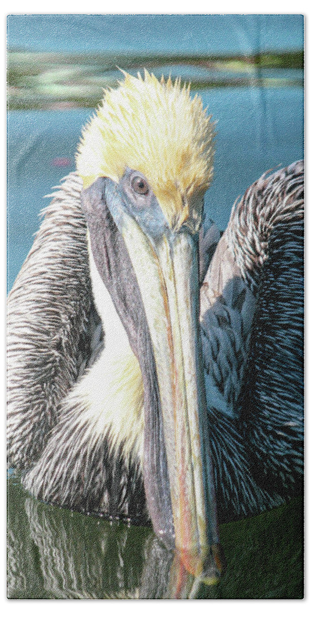 Brown Pelican Beach Towel featuring the photograph I see you, says Brownie by Joanne Carey