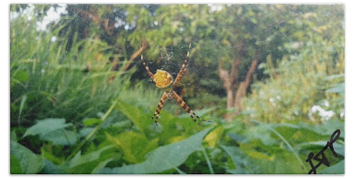 Spider Beach Towel featuring the photograph I Web You by Esoteric Gardens KN