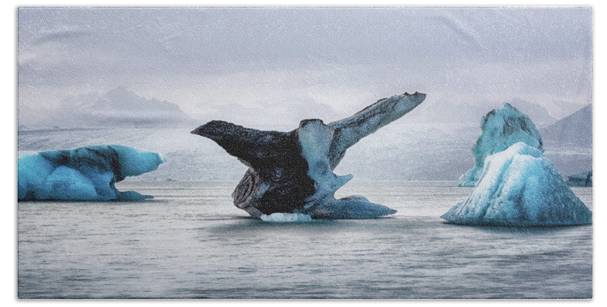 Breiðamerkurjökull Beach Towel featuring the photograph Icebird by Dee Potter