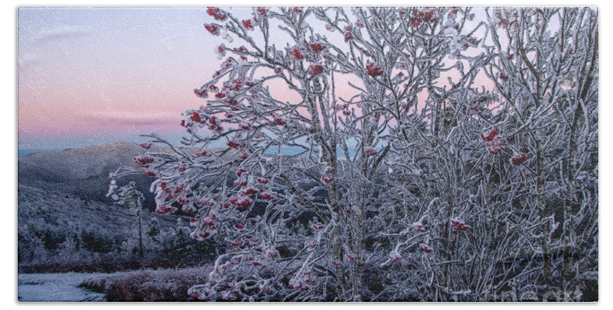 Dawn Beach Towel featuring the photograph Icy Dawn from Mount Mitchel by Jane Axman