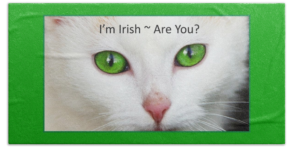 Cat Beach Towel featuring the photograph I'm Irish Are You by Nancy Ayanna Wyatt