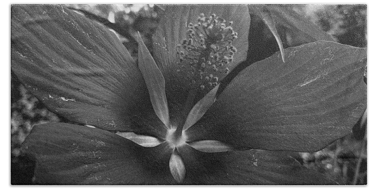 Flower Beach Towel featuring the photograph Imperfectly Perfect Macro BW by Lee Darnell