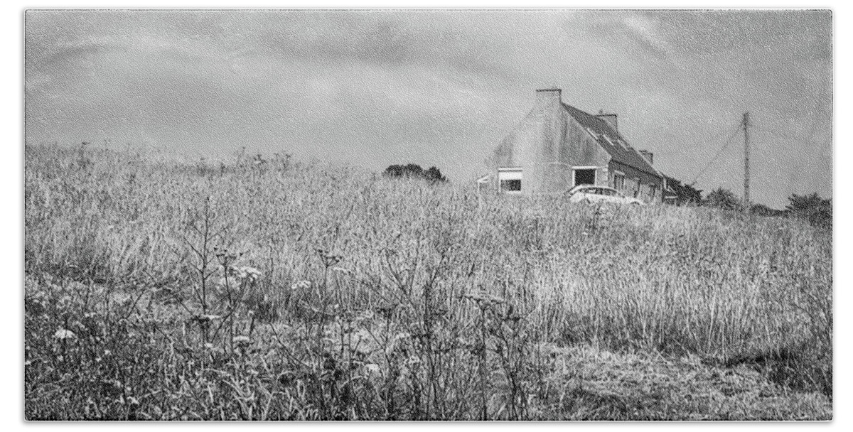 House Beach Towel featuring the photograph In the field by Jim Feldman