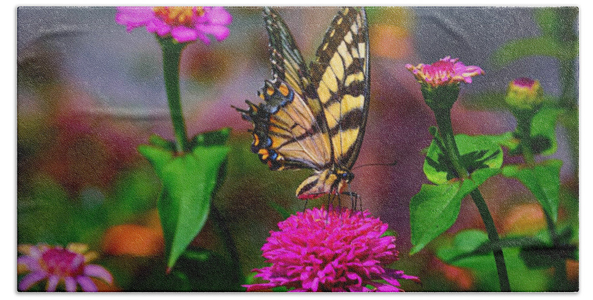 Butterfly Beach Towel featuring the photograph In the Garden by Carolyn Mickulas