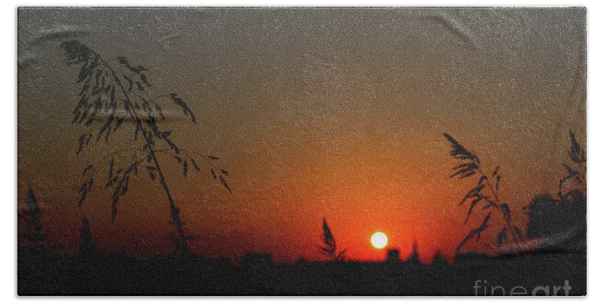 Nature Beach Towel featuring the photograph In the Vermilion Fields of Twilight by Leonida Arte