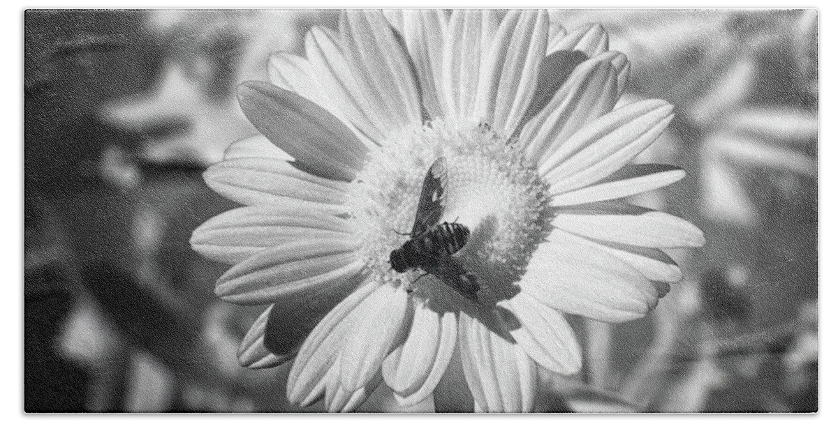 Infrared Beach Towel featuring the photograph Infrared - Bee by Minnie Gallman