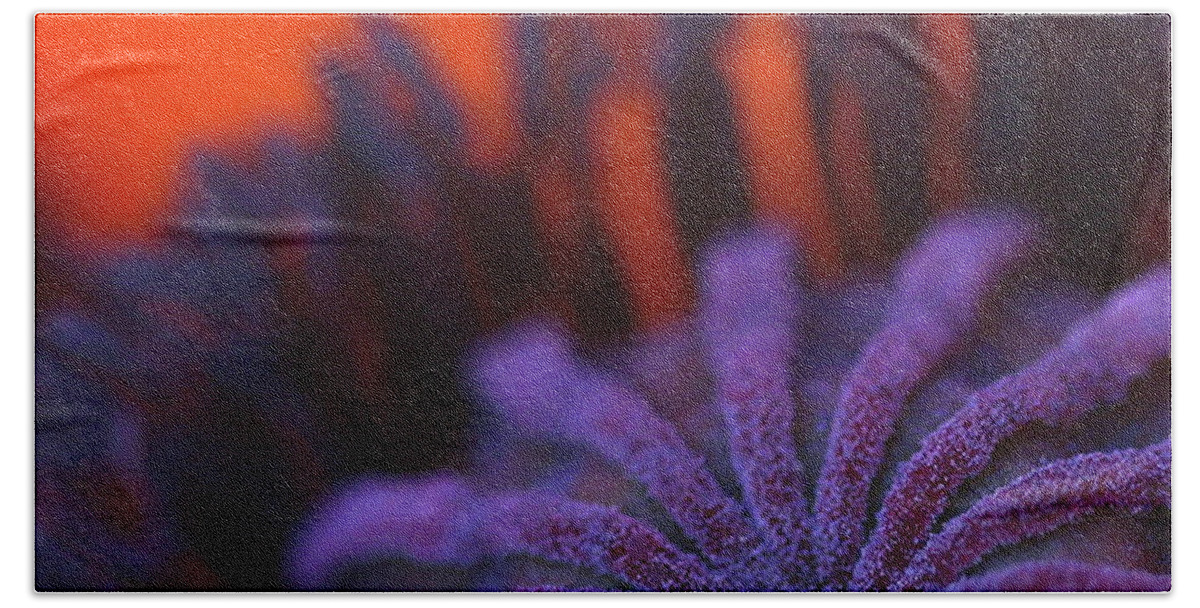 Macro Beach Towel featuring the photograph Inside Poppy 0607 by Julie Powell