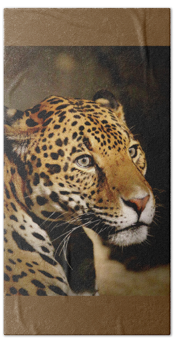 Jaguar Beach Towel featuring the photograph Intense by Lens Art Photography By Larry Trager