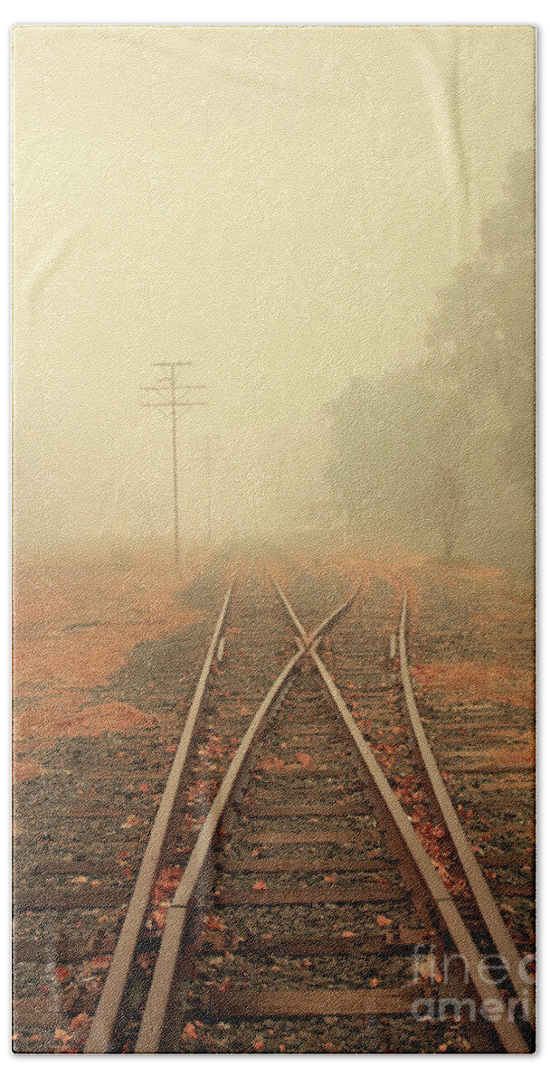 Misty Beach Sheet featuring the photograph Into the Fog by Elaine Teague