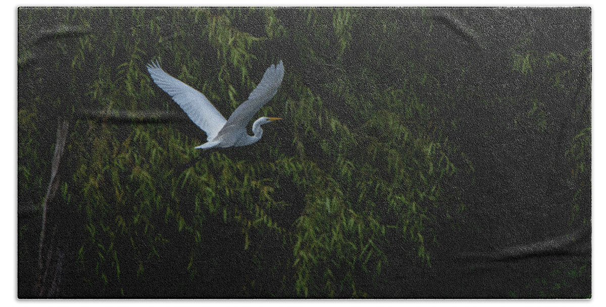 Egret Beach Towel featuring the photograph Into the Night by Linda Shannon Morgan