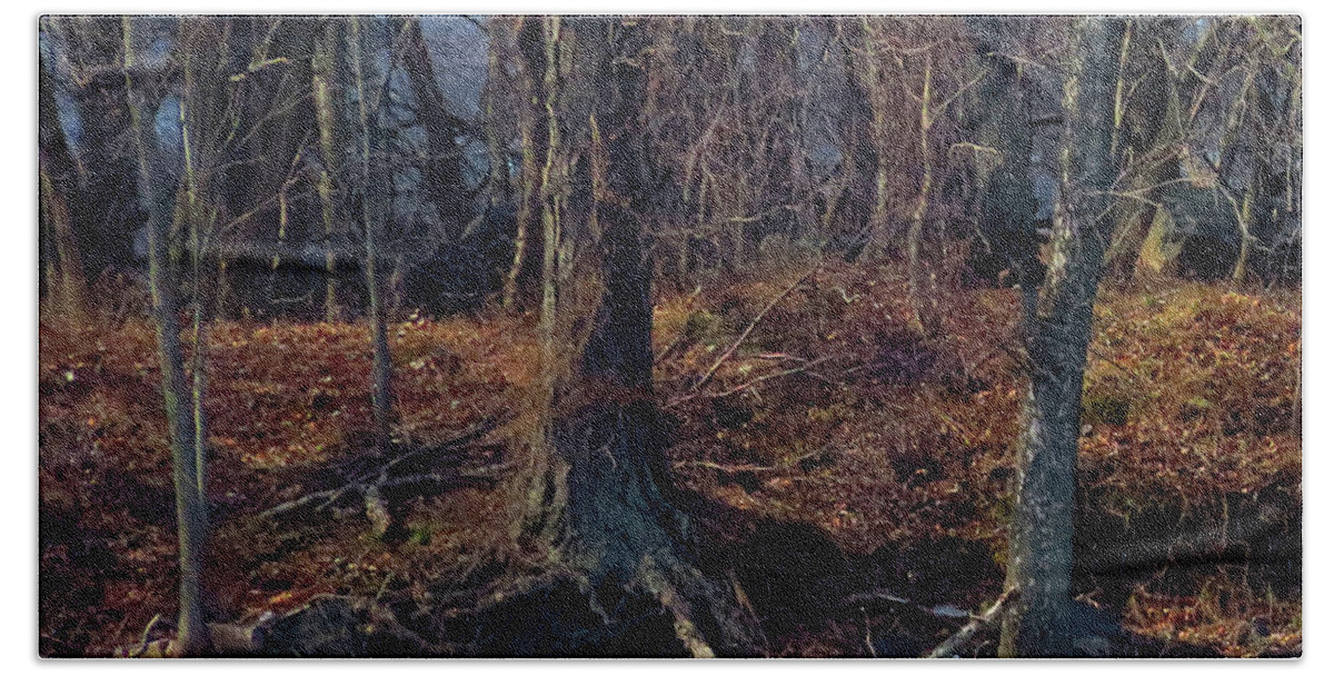 Woods Beach Towel featuring the photograph Into the Woods at Amico Island by Linda Stern