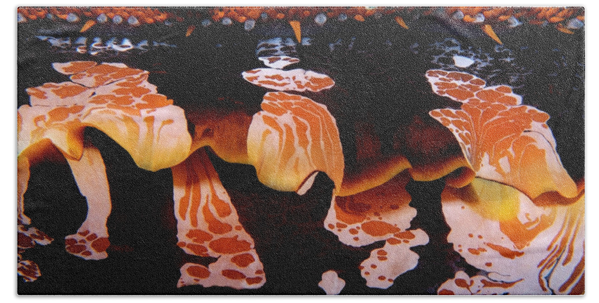 Oyster Beach Towel featuring the photograph Intricate invertebrate by Artesub