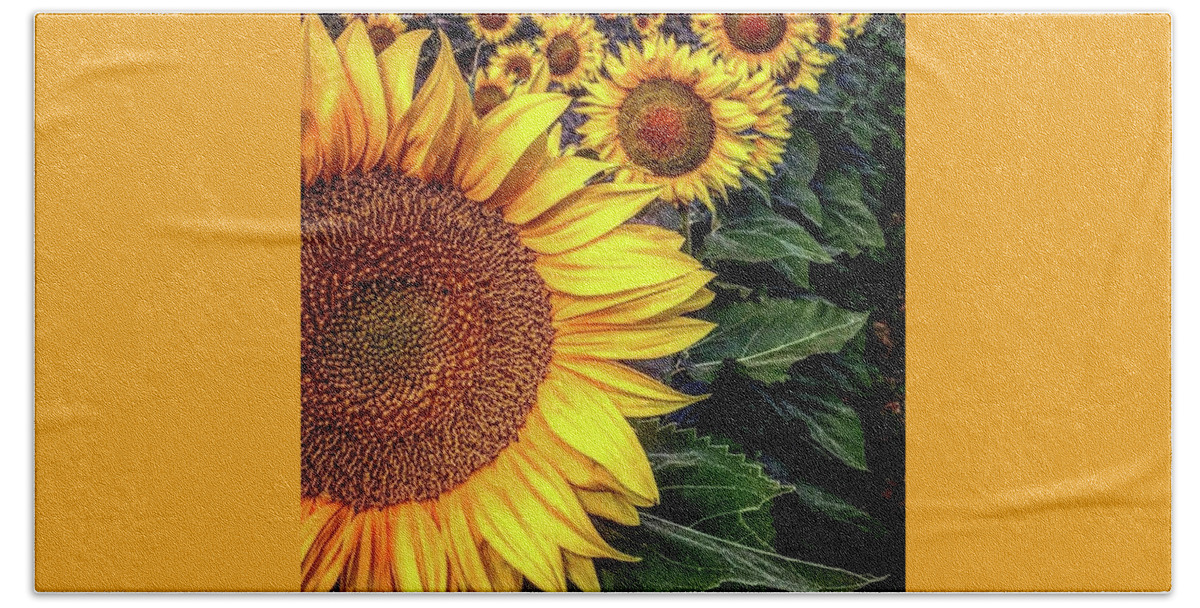 Iphonography Beach Towel featuring the photograph Iphonography Sunflower 3 by Julie Powell