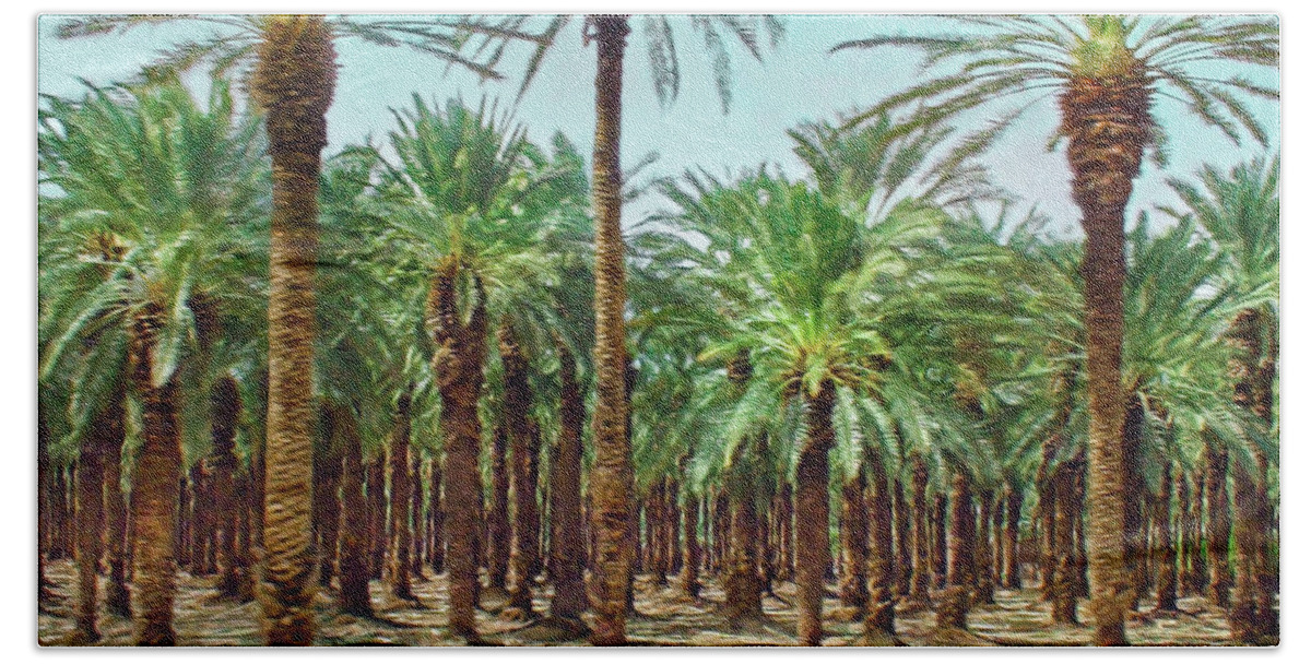 Travel Beach Towel featuring the photograph Israeli Date Palm Orchard by Brian Tada