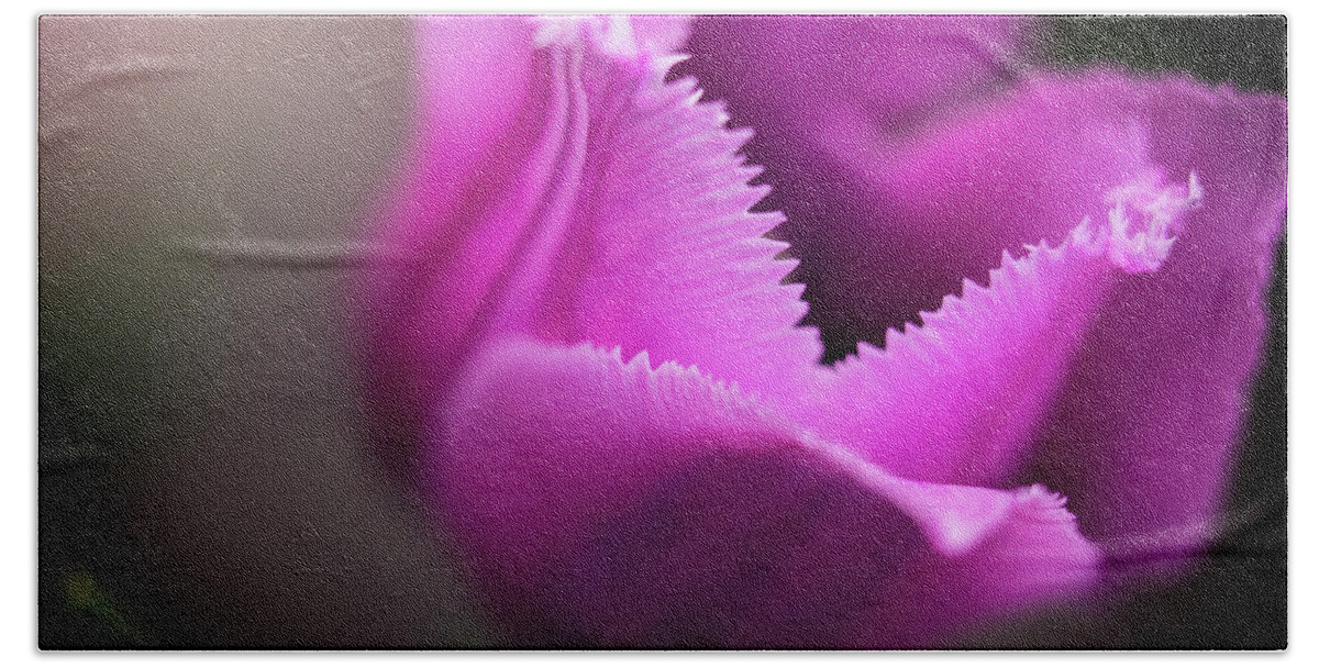  Beach Towel featuring the photograph Jagged Tulip by Nicole Engstrom