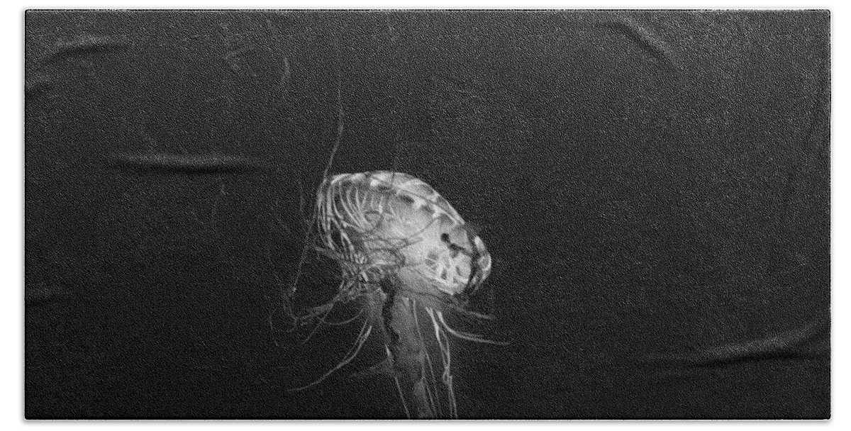 Japanese Sea Nettles Beach Towel featuring the photograph Japanese Sea Nettles Jellyfish - Black and White by Marianna Mills