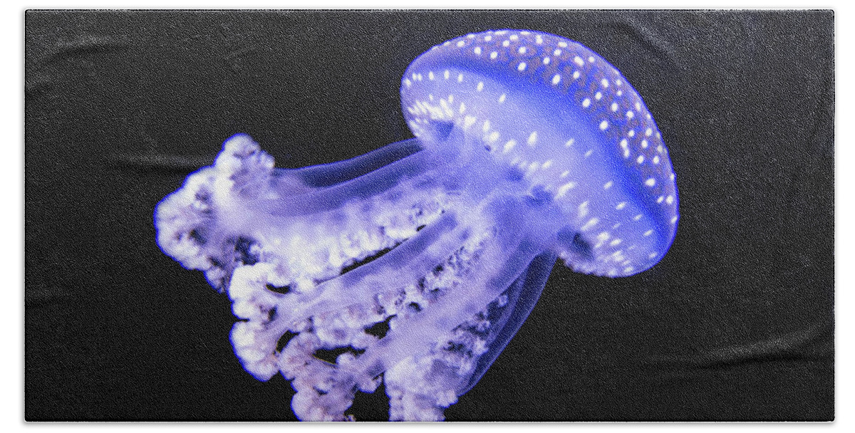 Jelly Beach Towel featuring the photograph Jellyfish under the Sea by Beachtown Views