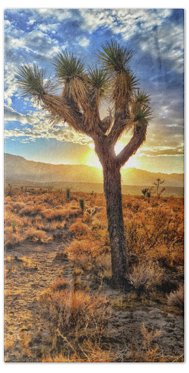 Sunset Beach Towel featuring the photograph Joshua Tree Sun Blast by Chris Casas