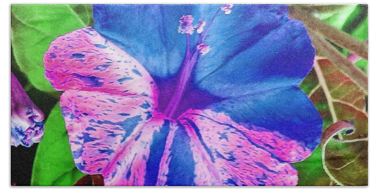 Flower Beach Towel featuring the photograph June Bloom by Andrew Lawrence