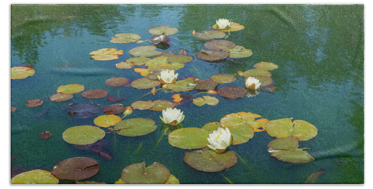Water Lily Beach Towel featuring the photograph June Water Lilies on Pond by Bonnie Follett