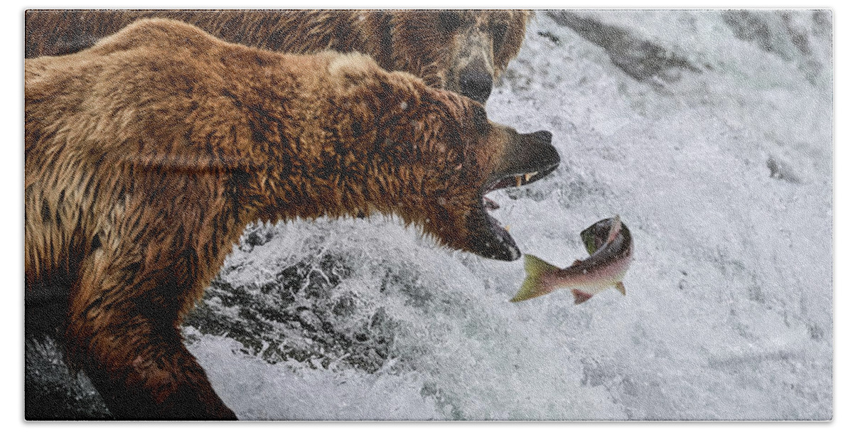 Ursus Arctos Gyas Beach Towel featuring the photograph Just Out of Reach - Alaska Brown Bear Fishing by Amazing Action Photo Video
