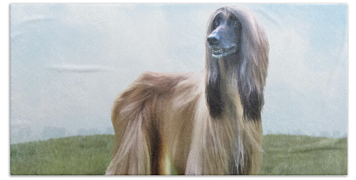Afghan Hound Art Beach Towel featuring the painting King of His Hill by Diane Chandler