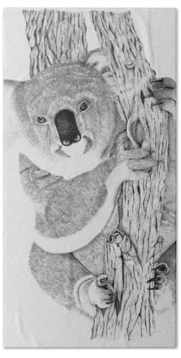 Koala Beach Towel featuring the drawing Koala by Patricia Hiltz