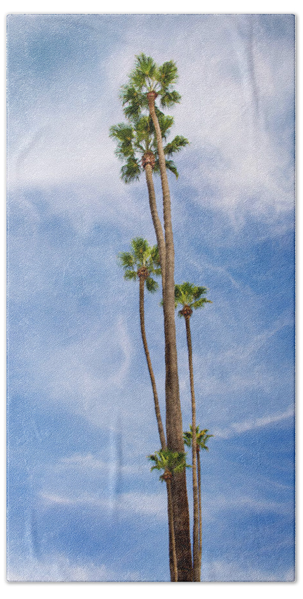 Palm Trees Beach Towel featuring the photograph L.A. Palms #1 by Michael Chiabaudo