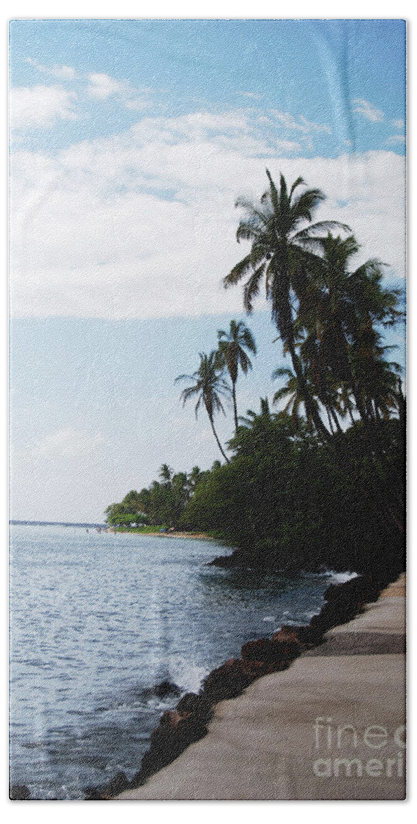 Photography Beach Towel featuring the photograph Lahaina, Maui 044 by Stephanie Gambini