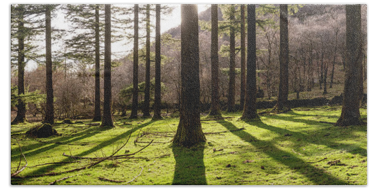 Panorama Beach Towel featuring the photograph Lake District Woodland by Sonny Ryse