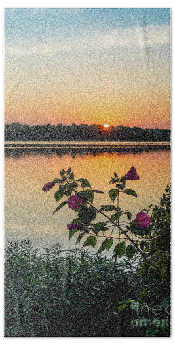Pink Hibiscus Beach Towel featuring the photograph Lake Springfield Hibiscus Sunrise by Jennifer White
