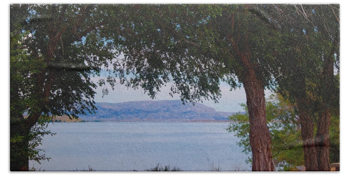 Lake Beach Towel featuring the photograph Lake View by Yvonne M Smith