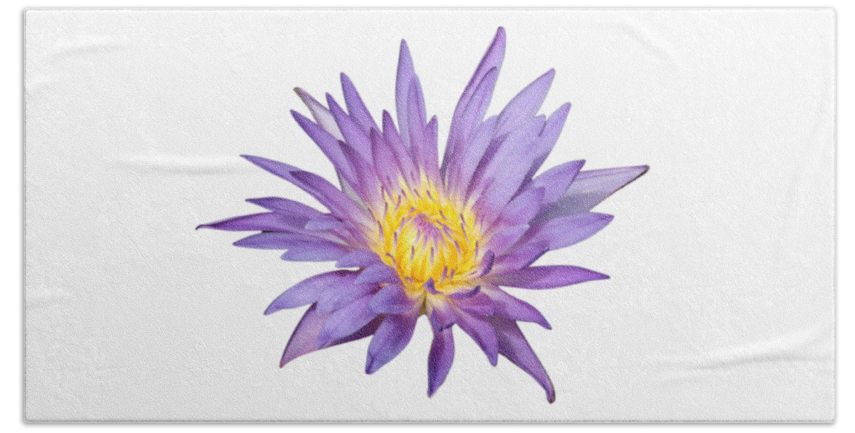 Water Lily Beach Towel featuring the photograph Lavender Water Lily by Carol Groenen