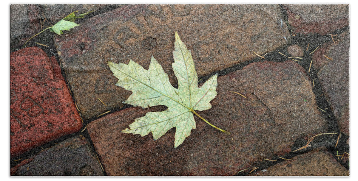 Leaf Beach Towel featuring the photograph Leaf on Bricks by Jeff White