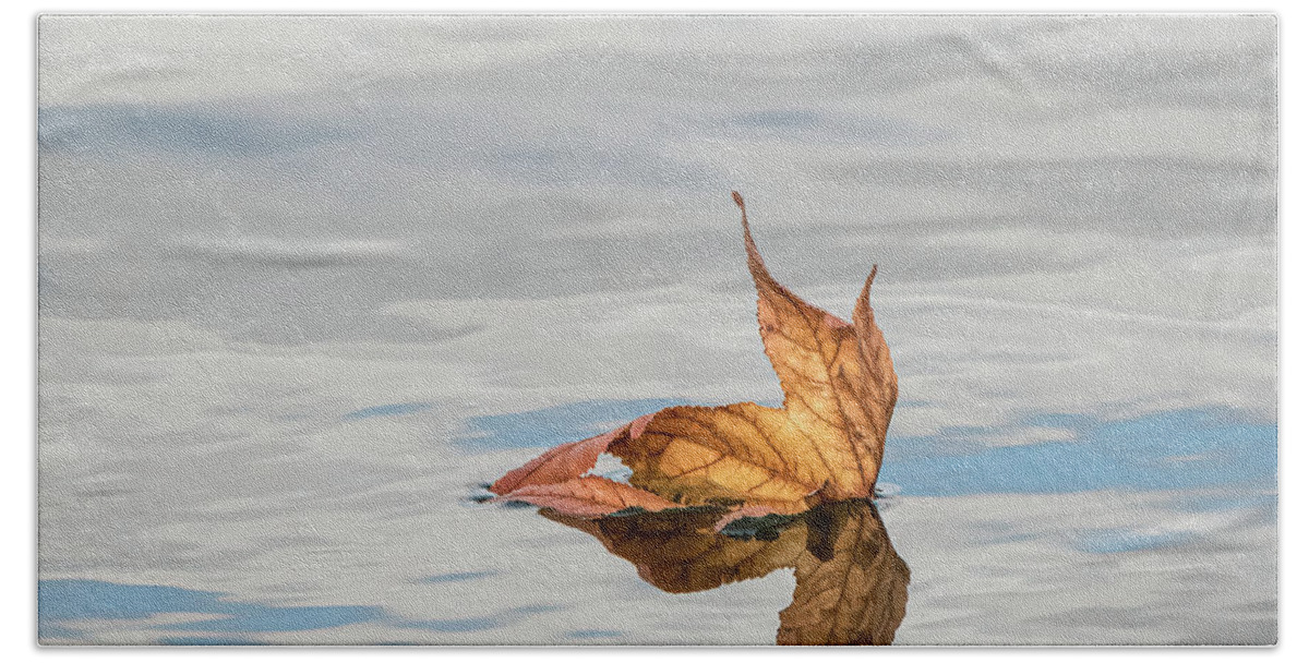 Evergreen Lake Beach Towel featuring the photograph Leaf on Water by Ray Silva
